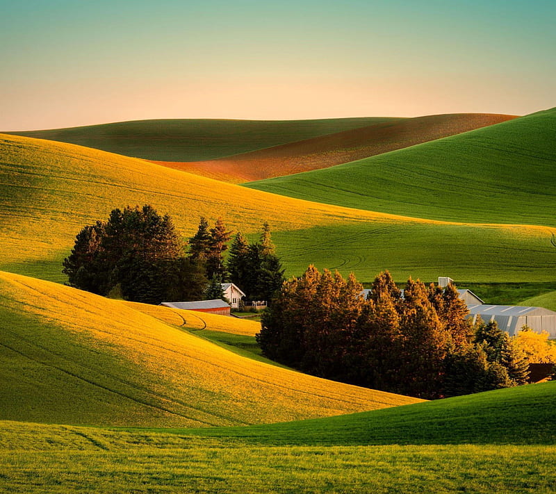 Rolling Hills, farm, fields, green, landscape, meadow, nature, roling hills, scenic, trees, HD wallpaper