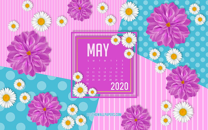 2020 May Calendar, pink spring background, 2020 spring calendars, May, 2020 calendars, May 2020 Calendar, HD wallpaper