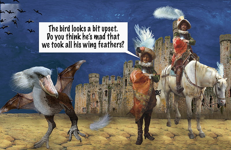 Feathers fly (a not too cavalier fashion statement), fantasy, bird, pasari, funny, man, horse, vikki truver, HD wallpaper