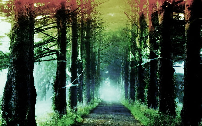 Solitude , red, pat, grass, green blue, colors, trees, mist, HD wallpaper