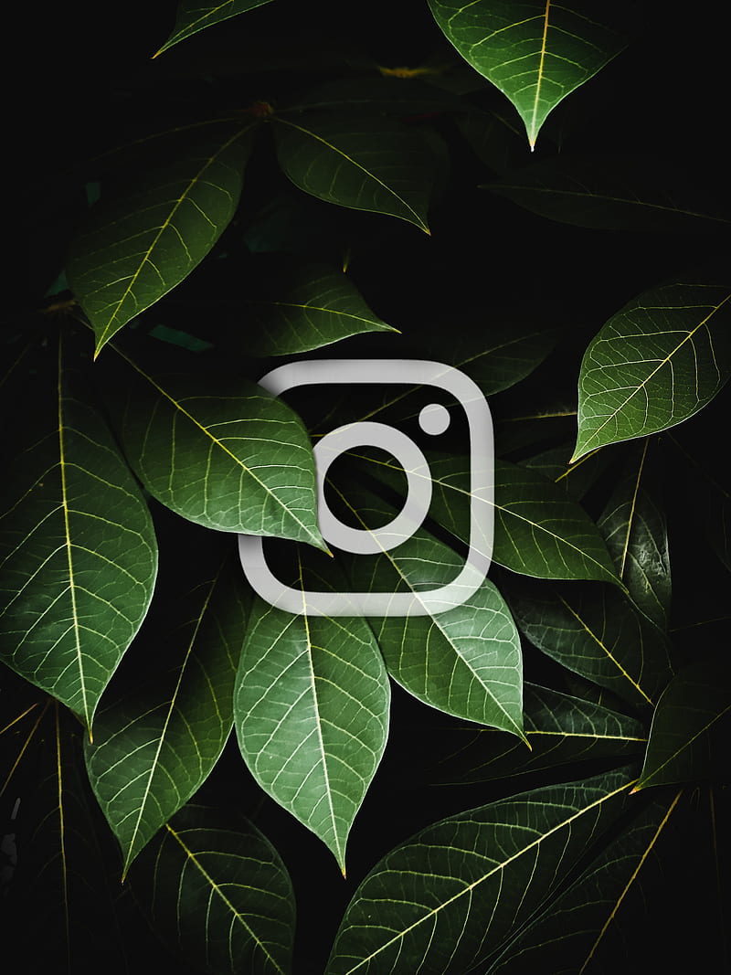 Instagram mood, bonito, edge, latest, moody, nature, graphy, spotlight, trendy, HD phone wallpaper