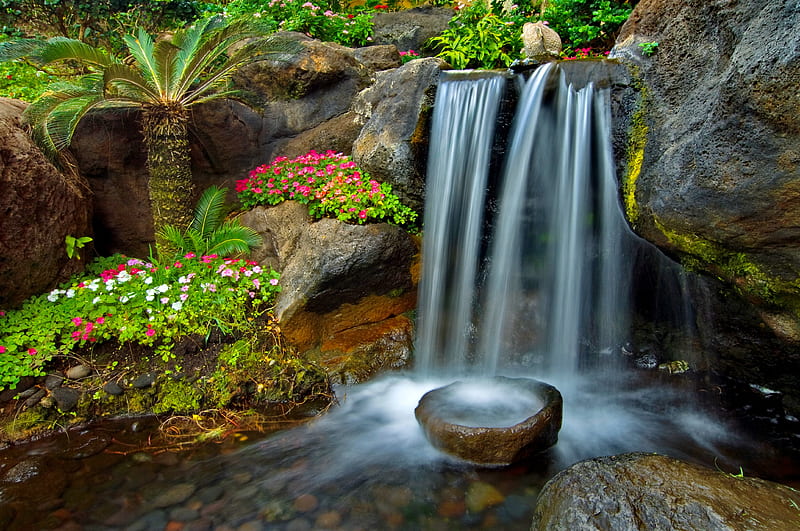Beautiful spring garden, pretty, stream, palm, bonito, park, brook, stones, cascades, plants, waterfall, flowers, garden, HD wallpaper