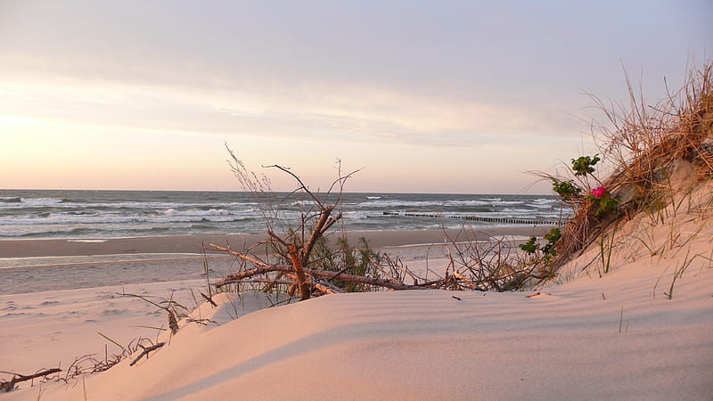 Baltic sea (Poland), beach, beautiful view, poland, summer, waves, sea, HD wallpaper