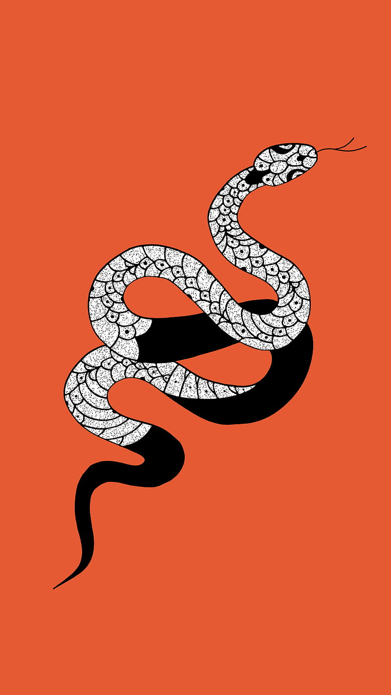 Bebe serpiente, dibujo, naranja, serpiente, tatuaje, Fondo de pantalla de  teléfono HD | Peakpx