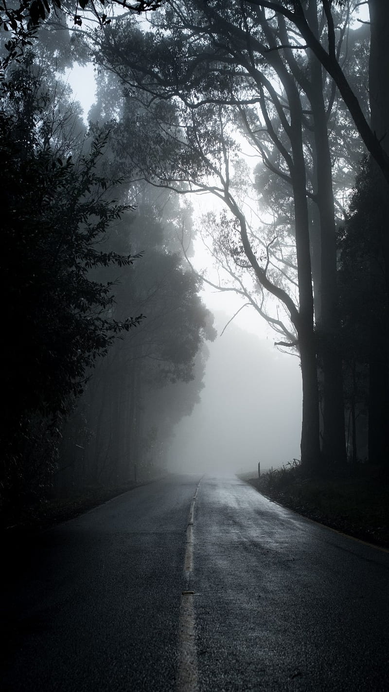 Lonesome Highway, creepy, dark, foggy, road, scary, HD phone wallpaper