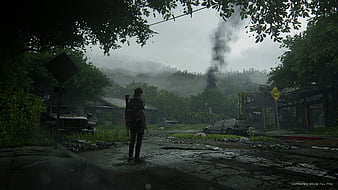 Download wallpaper infected, ellie, ellie kind, some of us, the last of us  part 2, game art, the last of us art, section games in resolution 800x480