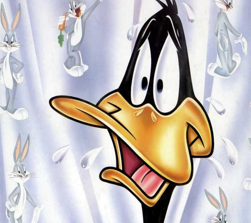 Daffy Duck, cartoons, HD wallpaper