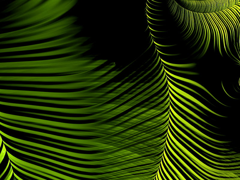 fractal, lines, winding, green, abstraction, HD wallpaper