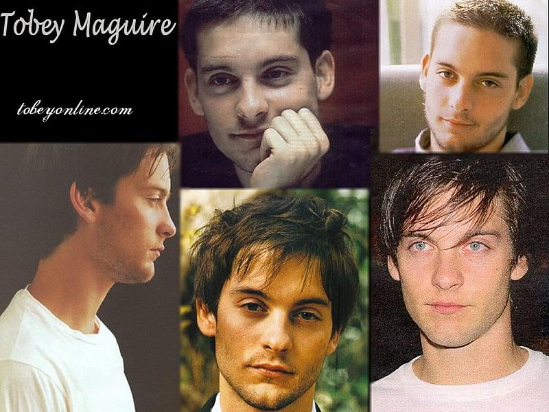 Tobey Maguire, cute, cool, spider man, hot, adorable, man, sexy, HD wallpaper