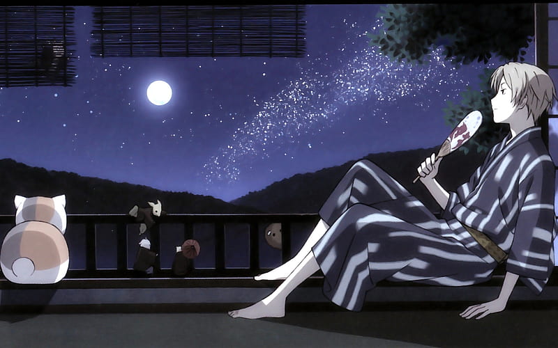 Natsume Yuujinchou, anime, madara, youkai, natsume, cat, night, HD wallpaper  | Peakpx