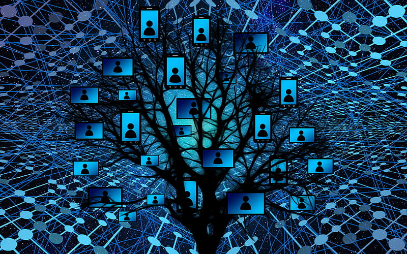 social networks background, tree network concepts, blue network background, technology background, network background, HD wallpaper