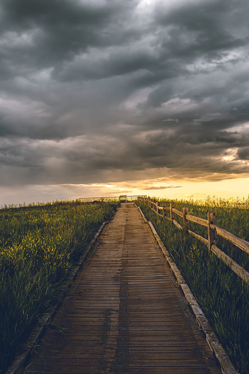 of Pathway Near Plants Under Cloudy Sky, HD phone wallpaper