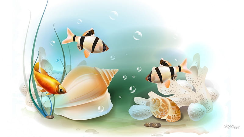 Water World, water, grass, sea shells, fish, ocean, bubbles, conch, sea, HD wallpaper