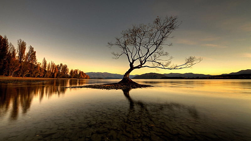 Lonely tree in Wanaka, Sky, Evening, Lake, Tree, Sunset, HD wallpaper
