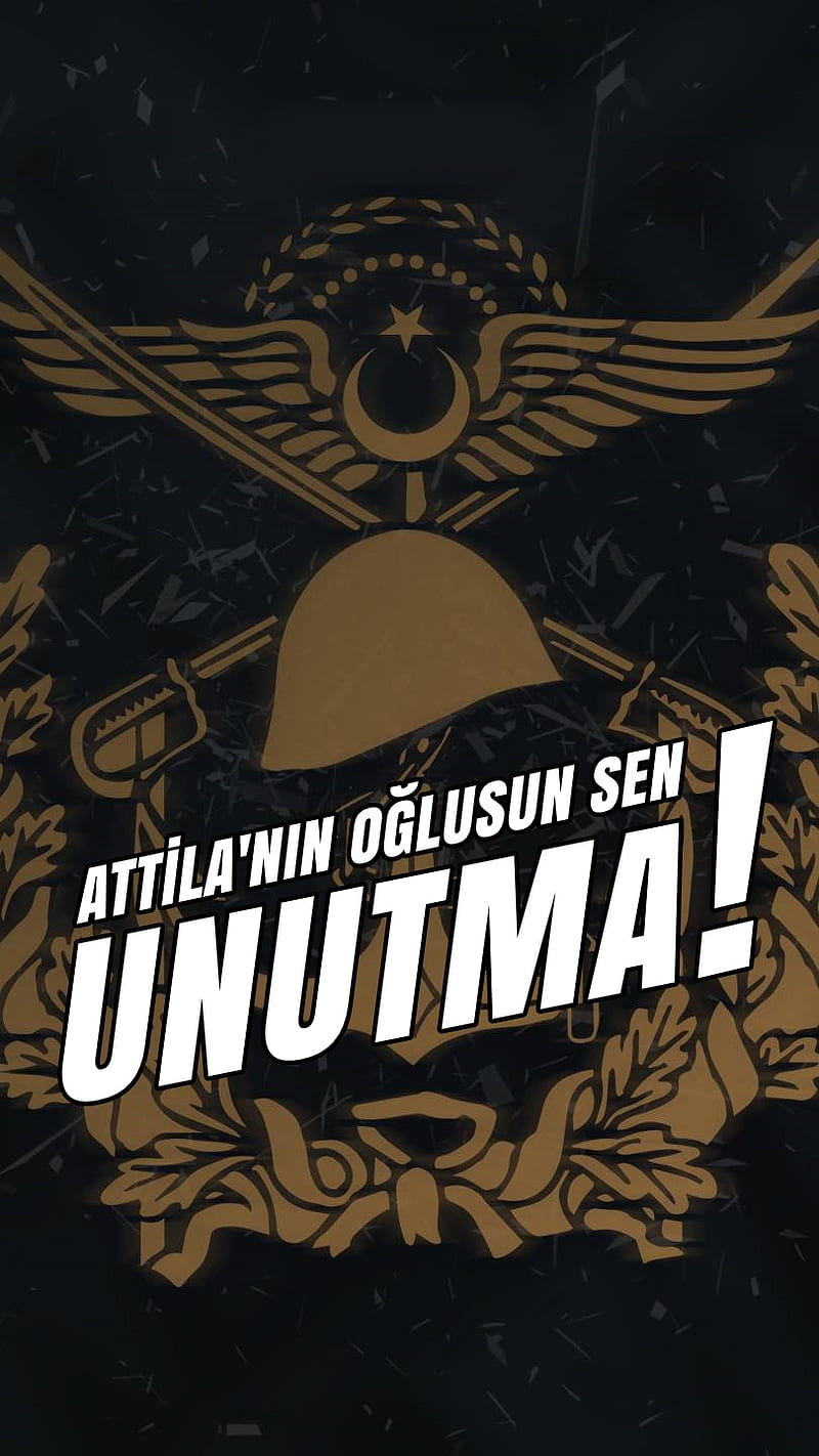 Turk, ataturk, attila, flag, bozkurt, gokturk, osmanli, silah, turk askeri, turkiye, HD phone wallpaper