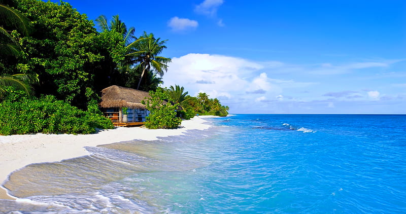 Maldives, hut, exotic, ocean, bonito, waves, sky, palms, sea, beach, water, paradise, summer, island, tropics, sands, HD wallpaper