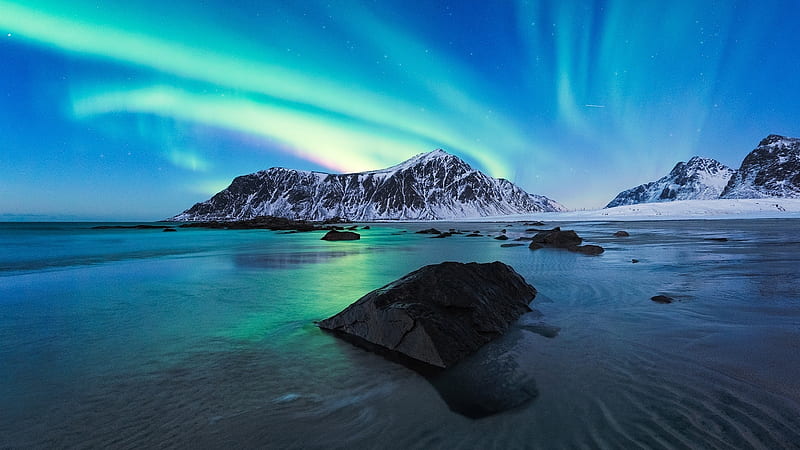 Polar Lights in Lofoten, ocean, polar, nature, aurora borealis, sky, sea, lights, lofoten, HD wallpaper
