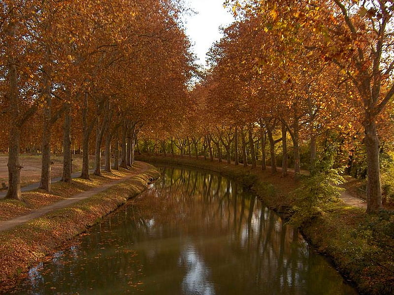 Autumn-Canal-du-Midi, autumn, canal, du-midi, bonito, HD wallpaper