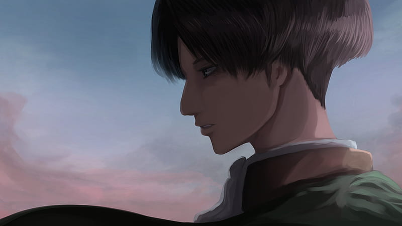 AOT] Levi Ackerman, #icon, #illustration, #leviackerman, #portrait,  #animeboy, HD phone wallpaper