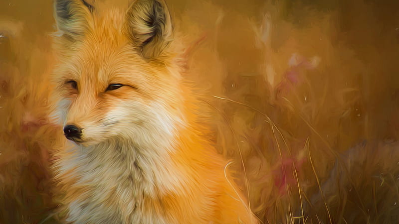 painted fox fox, forest, wildlife, HD wallpaper