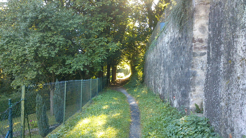 Light at the end of the path, Morning, Path, Outside, Nature, Wall, summer time, graphy, Park, City Wall, Plants, Light, Sunny, Mystic, Plant, Shadows, Magic, Shadow, gris, Sunlight, Lights, Snapshot, Way, Summer, Fence Trees, Impression, Day, Daytime, Nice, Green, graph, Sun, Sunray, Tree, Road, HD wallpaper