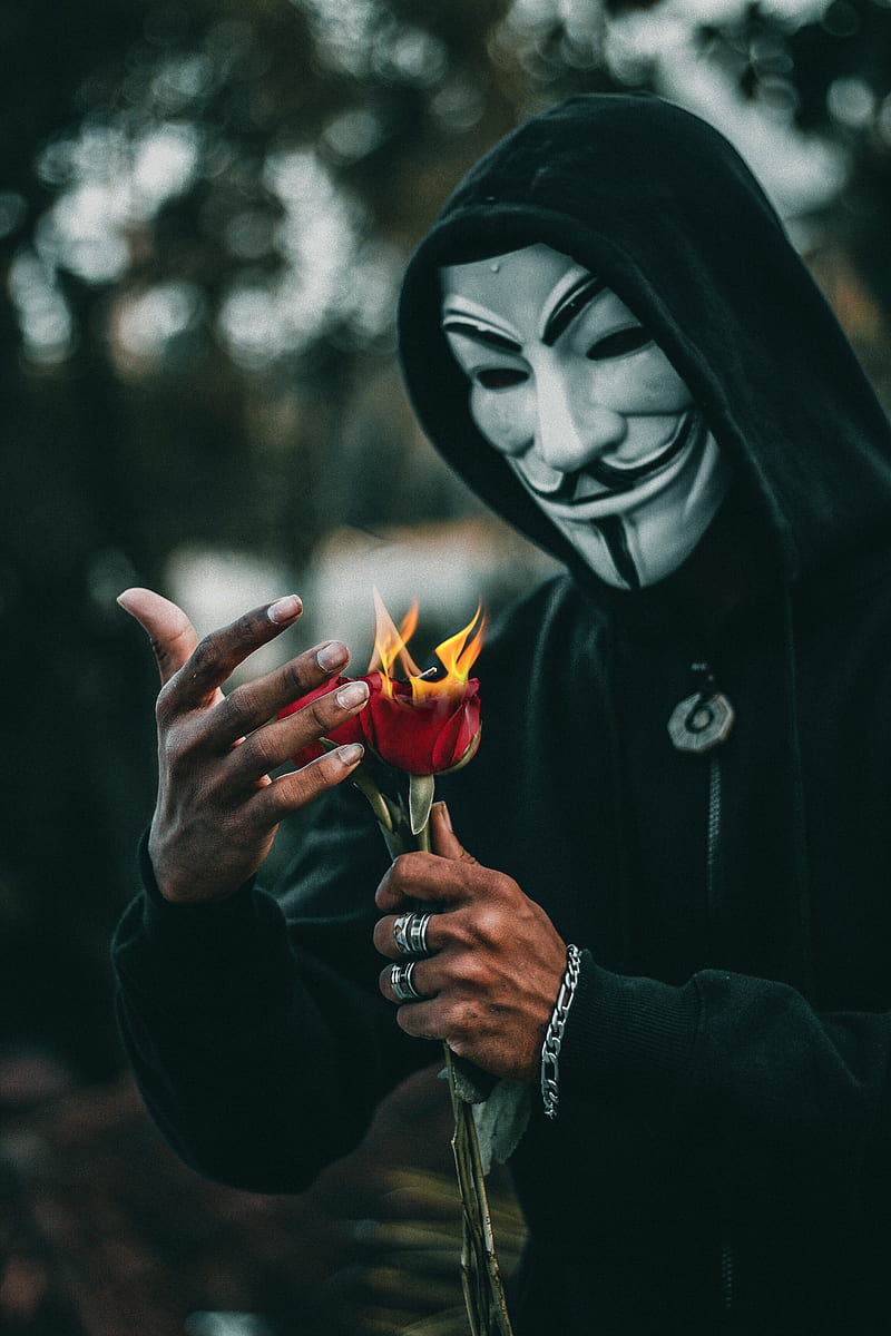 person wearing guy fawkes mask standing while holding burning red rose flower, HD phone wallpaper