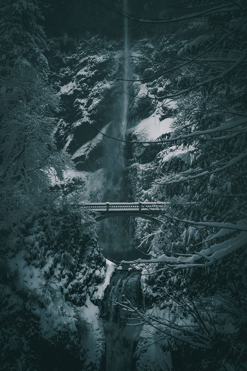 bridge, waterfall, snow, trees, winter, HD phone wallpaper