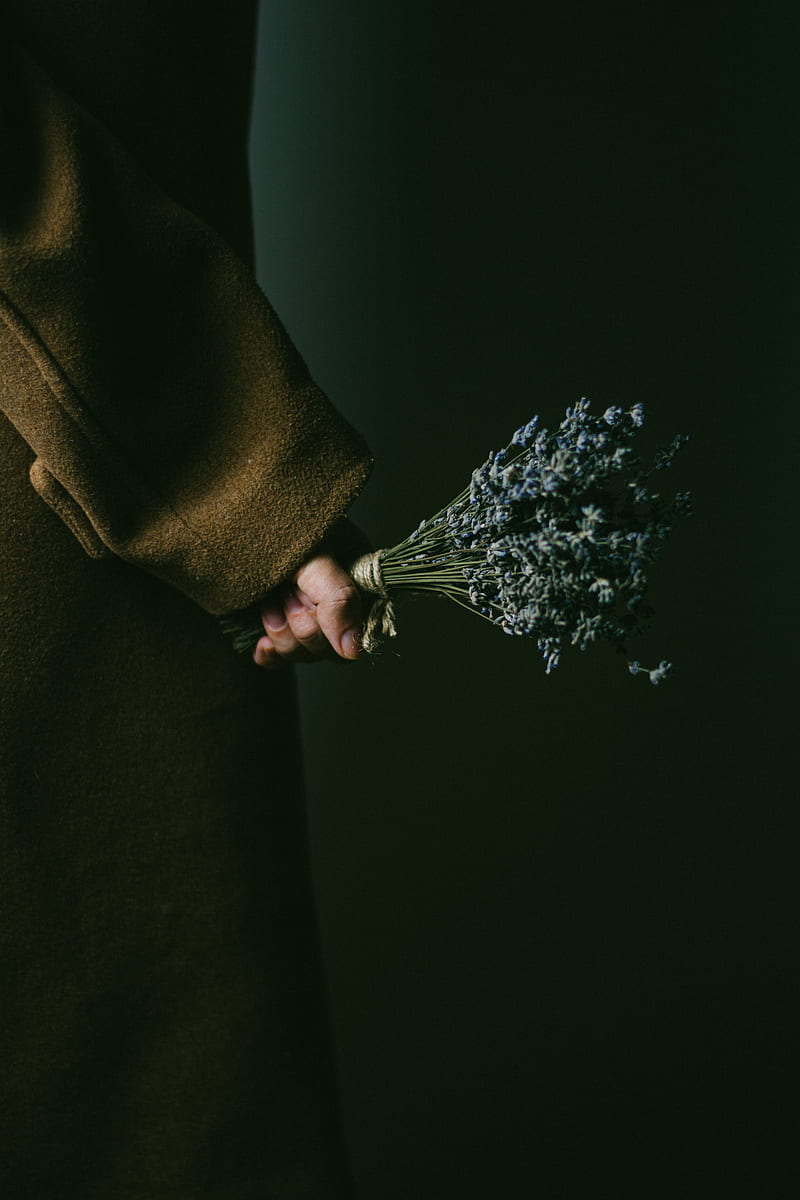 lavender, bouquet, hand, flowers, dark, HD phone wallpaper