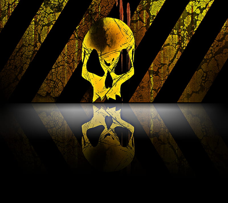 Warning, black, caution, cool, danger, head, skull, yellow, HD wallpaper |  Peakpx