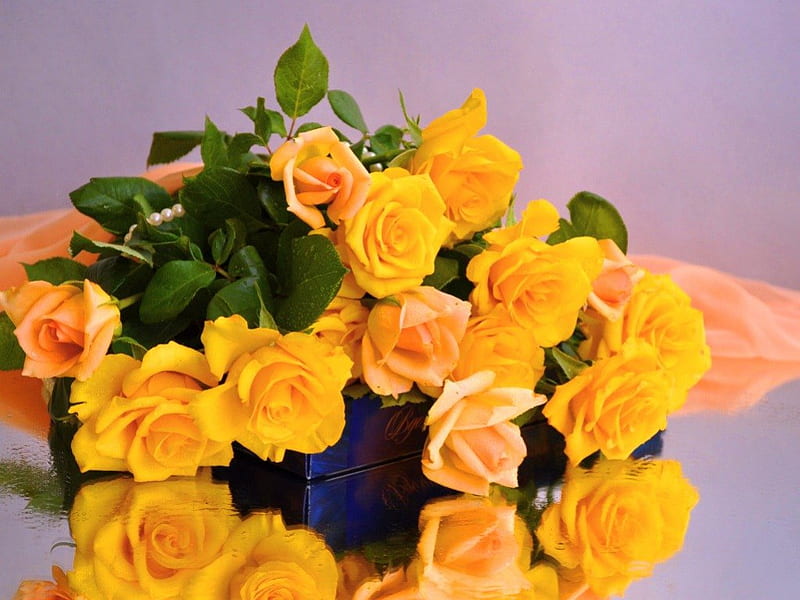 For all October birtays, green, flowers, yellow, coral, roses, HD wallpaper