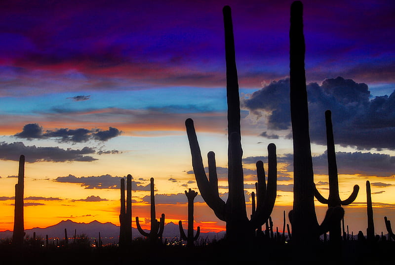 Rainbow Sunset , landscape, arizona, sunset, cactus, saguaro, sky, clouds, mountain, HD wallpaper