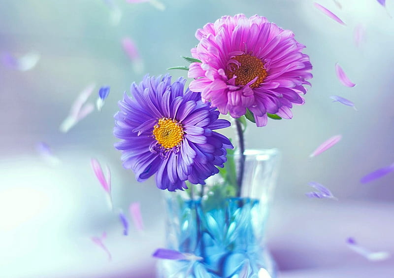 Flores hermosas abstractas, púrpura, bonitas, flores, rosa, Fondo de  pantalla HD | Peakpx