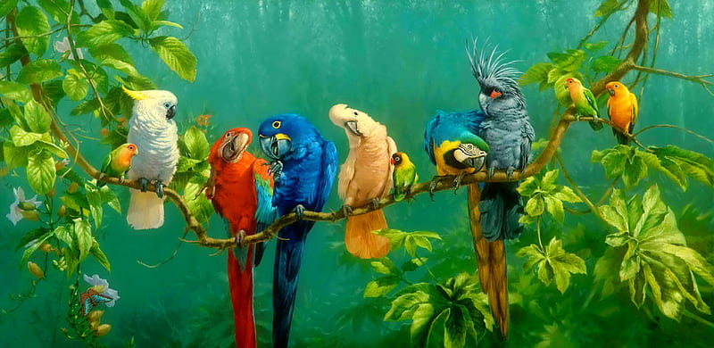 Birds of a feather, pretty, colorful, art, exotic, paintiung, birds, bonito, feather, parrots, HD wallpaper