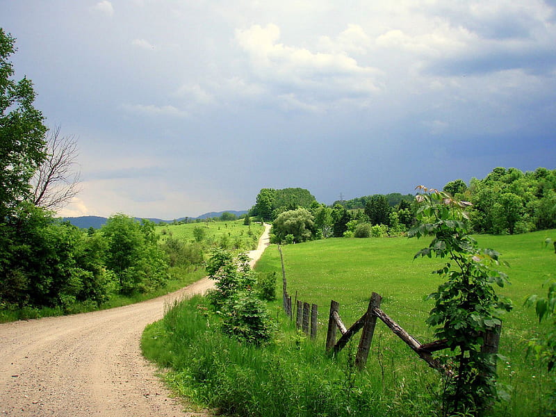 Solitary Road, fence, solitary, dirt road, cloudy, green, grass, road, HD wallpaper