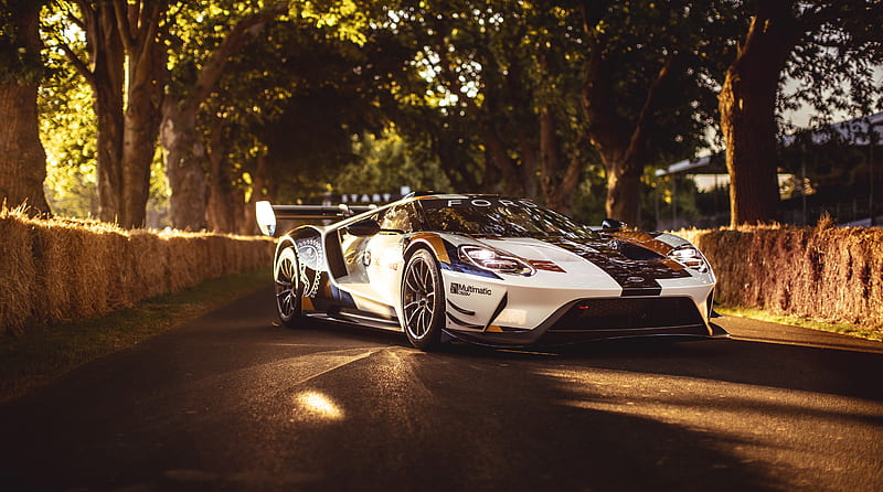 2019 Ford GT MK II Sports Car Ultra, carros, Supercars, Electric, bonito, Trees, desenho, Drive, Outdoor, Ford, Performance, Nice, Luxury, Fast, supercar, Motor, sportscar, Vehicle, automotive, electriccar, 2019, HybridEngine, HD wallpaper