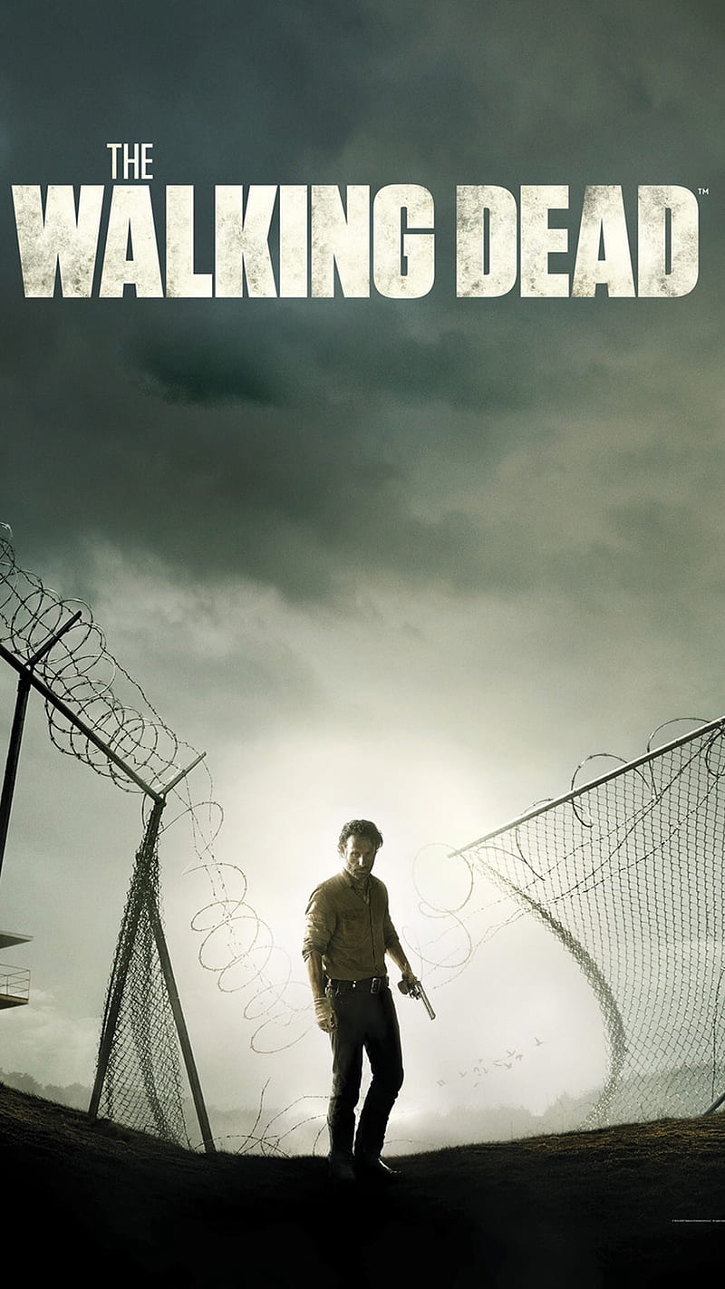 The Walking Dead, walking dead, HD phone wallpaper