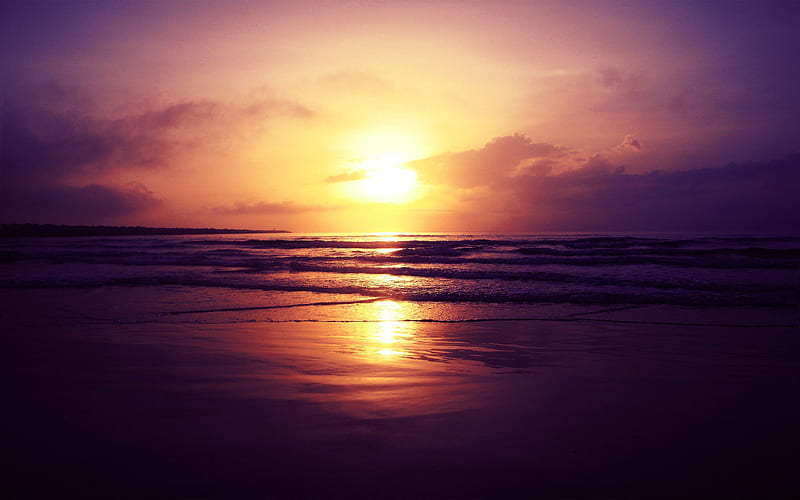 Beach Sunset, nature, sunset, beach, HD wallpaper