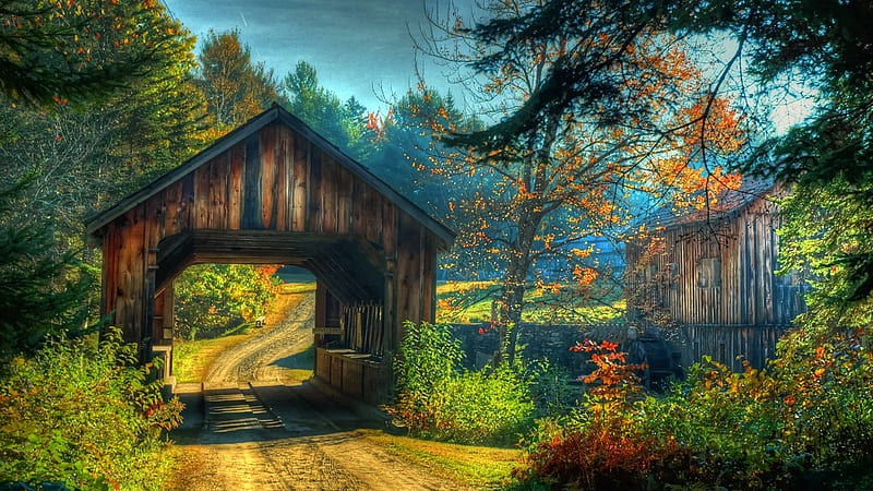 Paradise Pass, pretty, autumn, roads, country, HD wallpaper