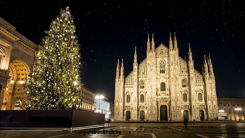 Milan Cathedral Piazza Christmas tree Night Bing, HD wallpaper