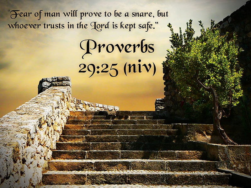 Proverbs 29 : 25, Stone, trees, Stairway, Bible verse, HD wallpaper