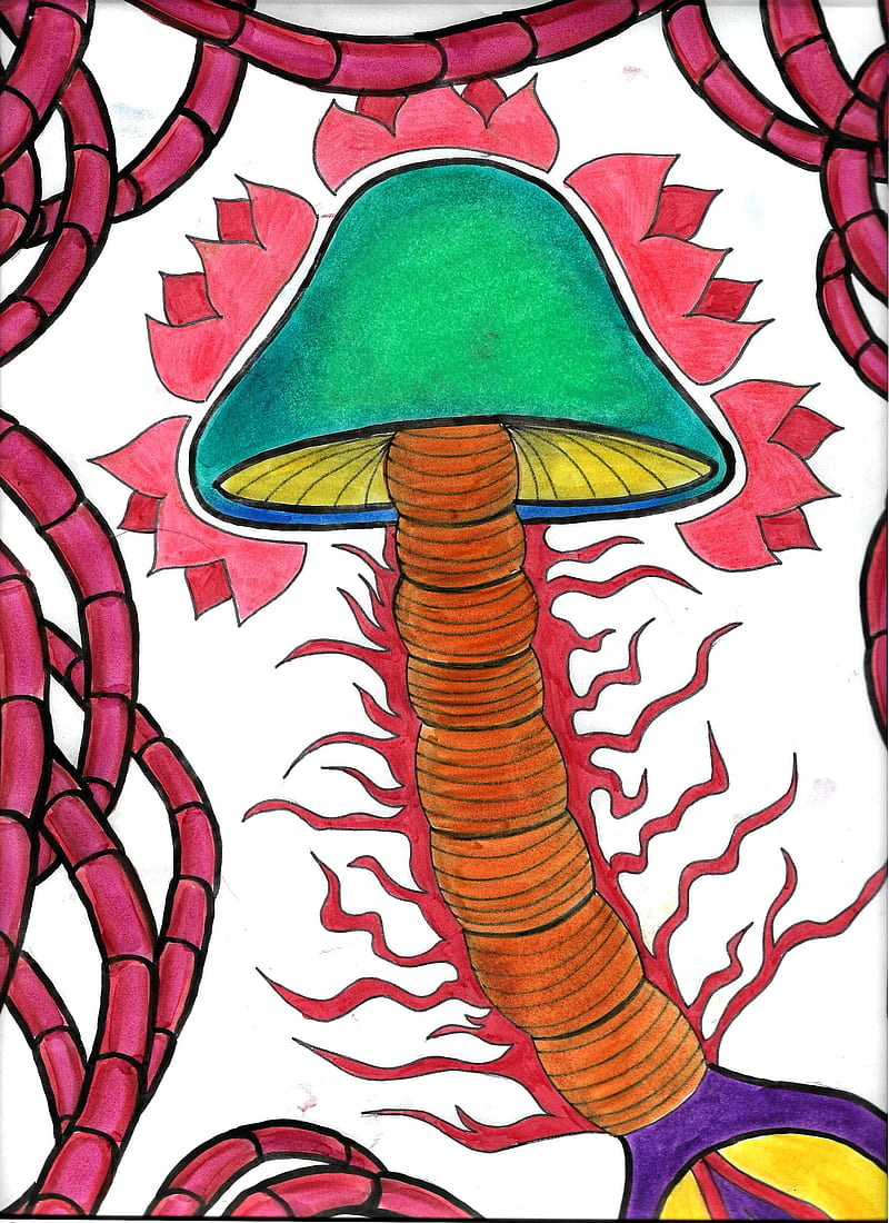 Trippy Mushroom Art, lotus, lotus drawing, mushroom art, mushroom drawing, trippy art, trippy drawing, trippy mushroom, HD phone wallpaper