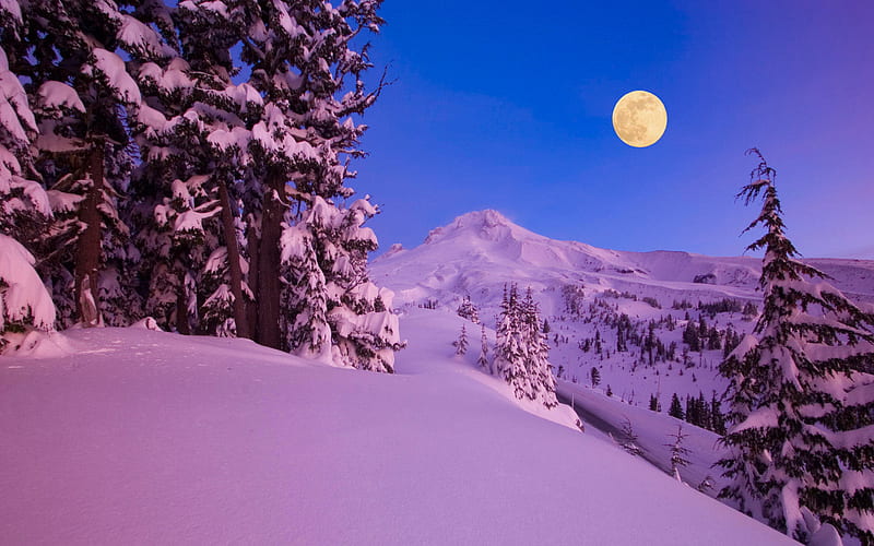 winter snow night moon mountains tree [] for your , Mobile & Tablet. Explore Snowy Winter Night Scenes . Winter Scene , Snowy, HD wallpaper