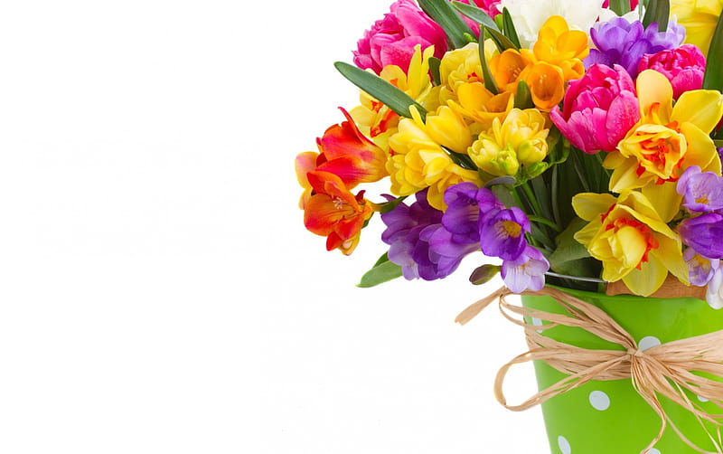 Spring flowers, red, daffodils, yellow, vase, spring, card, sia, dot, green, purple, flower, white, pink, tulip, HD wallpaper