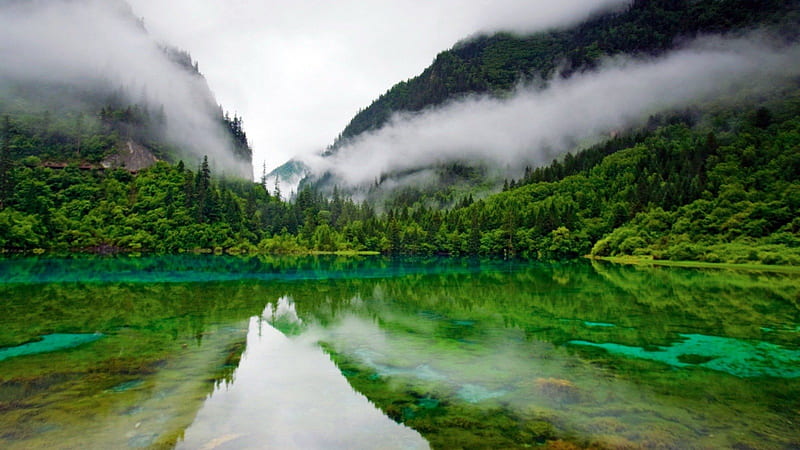 nature reserves china, forest, nature, green, lake, HD wallpaper