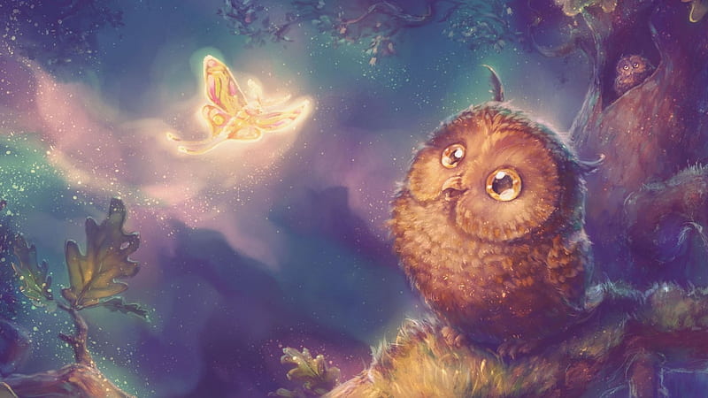 Owl and Moth, colorful, moth, owl, art, HD wallpaper