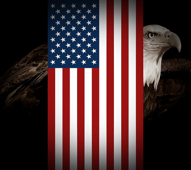 America, patriotic, stars and stripes, us, usa, HD wallpaper