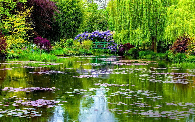 Monet's Water Garden, water, bridge, water garden, lily pads, flowers, garden, Spring, trees, HD wallpaper