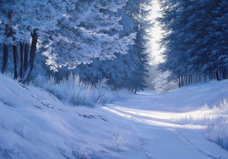 Winter Serenity, snow, trees, winter, forest, path, artwork, HD wallpaper.