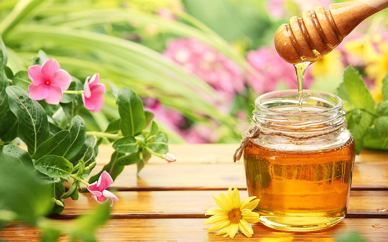 Sweet Honey, nice, honey, food, healthy, flowers, nature, sweet, HD wallpaper Sweet Honey, nice, honey, food, healthy, flowers, nature, sweet, HD wallpaper