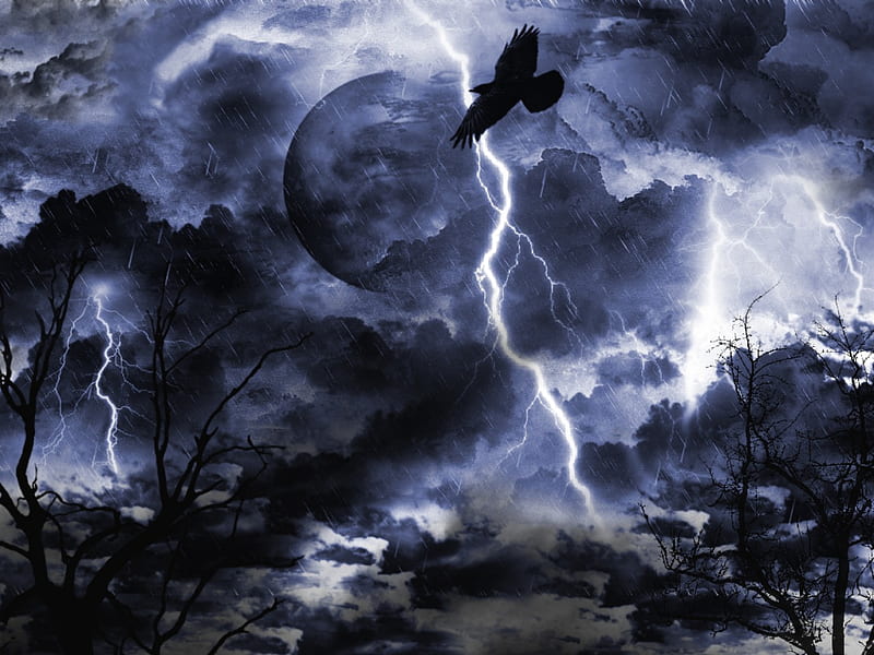 THUNDER & LIGHTNING, moon, lightning, bird, thunder, rain, trees, stormy, night, HD wallpaper